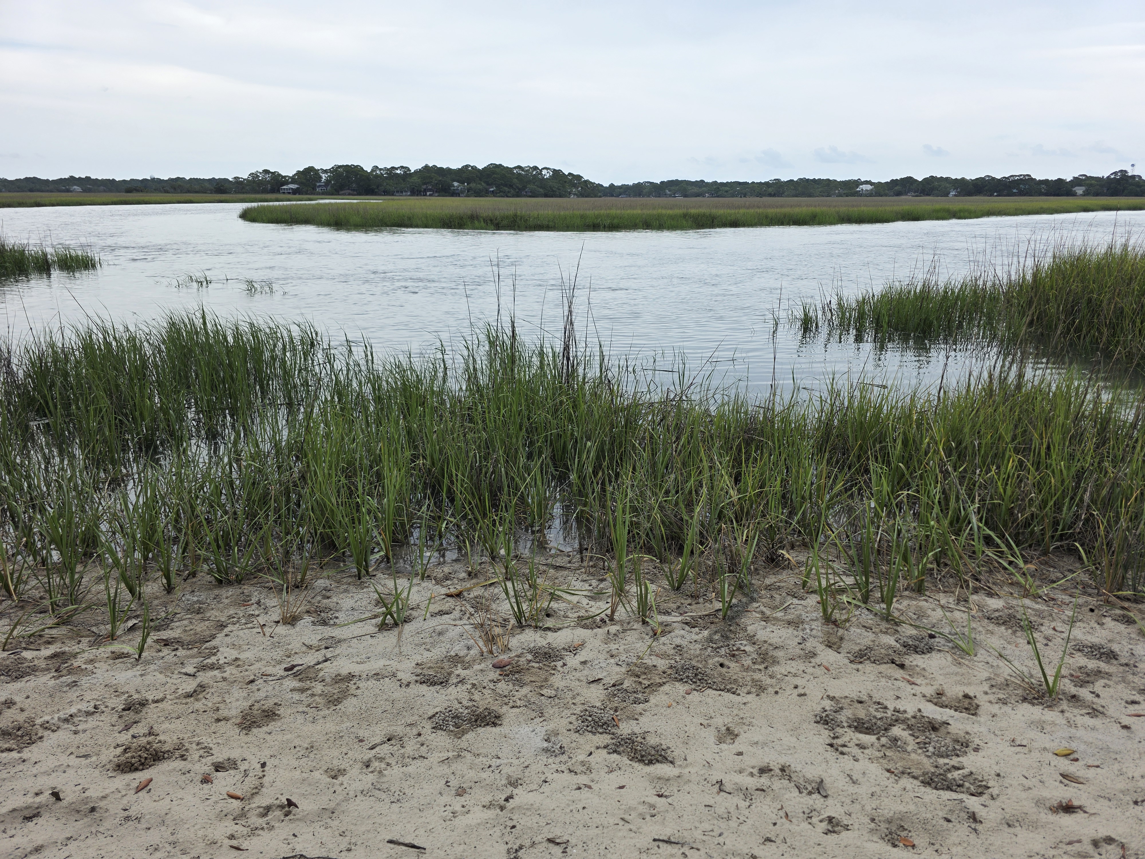 A beach to a marshy canal.
